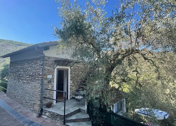 Asplanato - Dol160 By Interhome Διαμέρισμα *